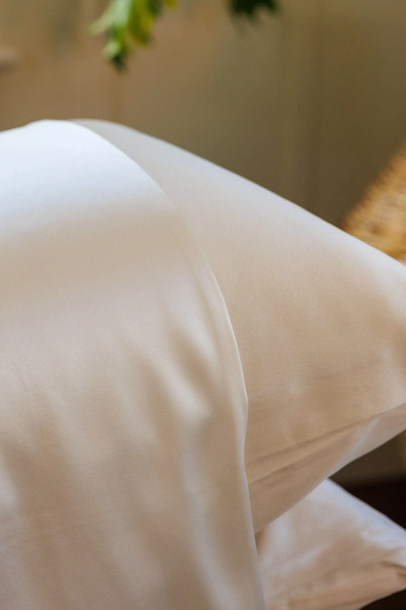 30 Momme 100% Pure Mulberry Silk Pillowcase - Black Label