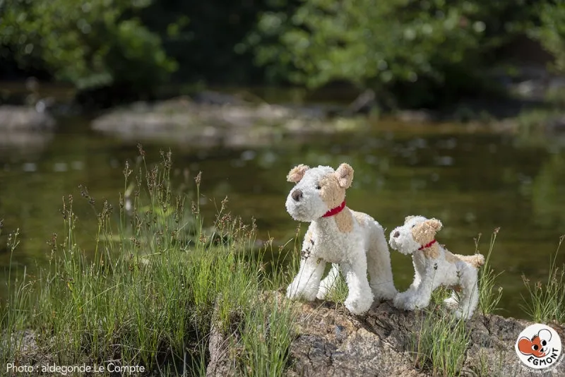 Egmont Eliot The Dog -Large