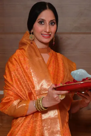 Soft banarasi silk Tanchoi saree