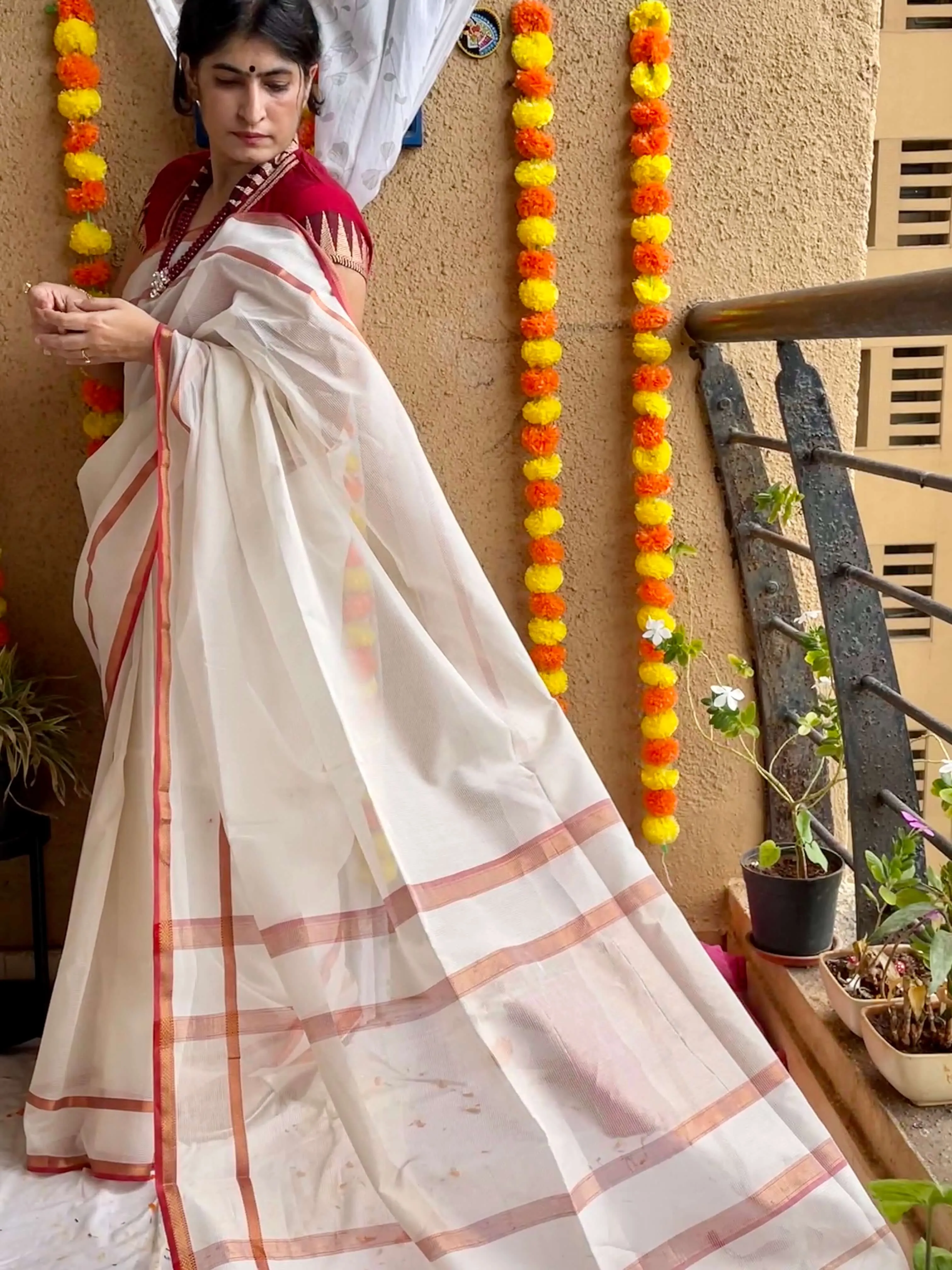 white Maheshwari Saree ~ Rang collection