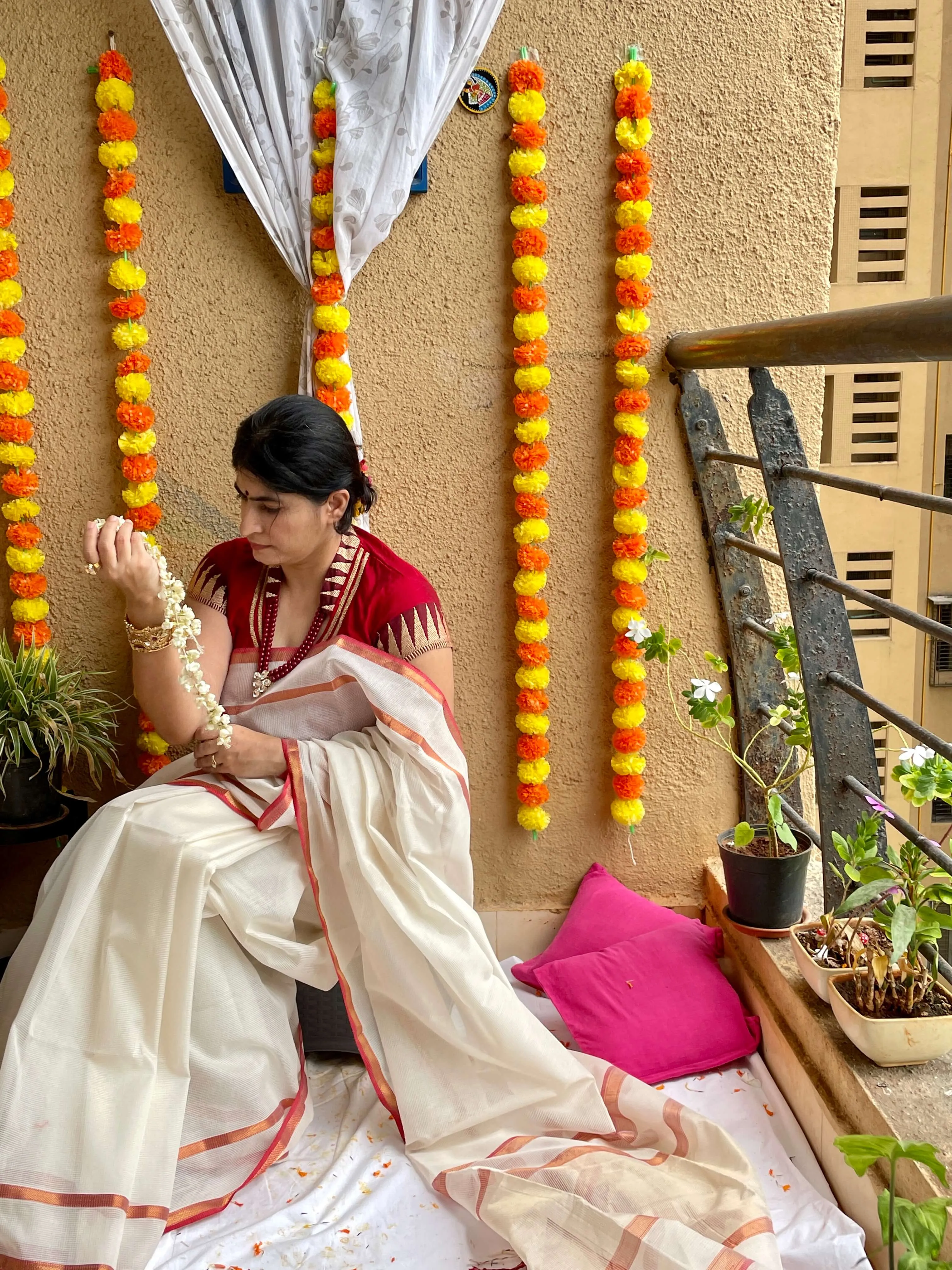 white Maheshwari Saree ~ Rang collection