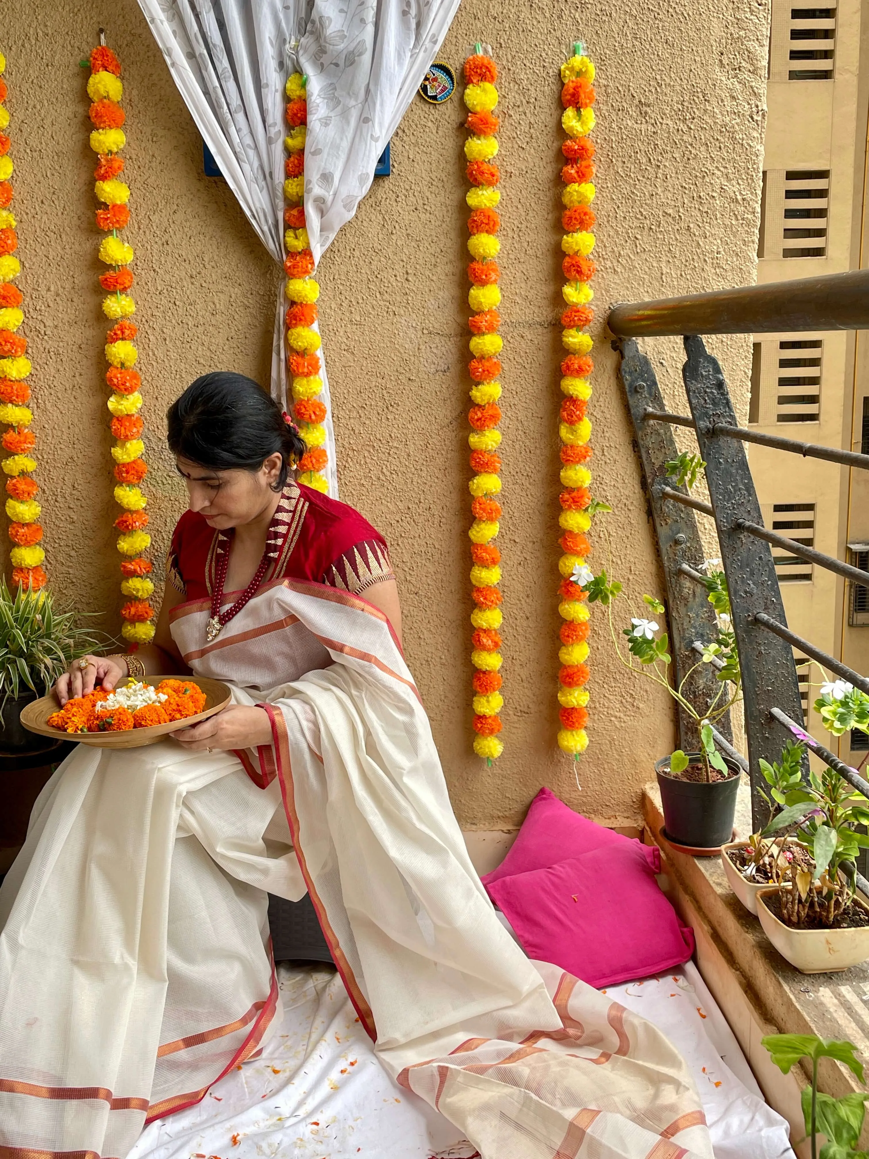 white Maheshwari Saree ~ Rang collection